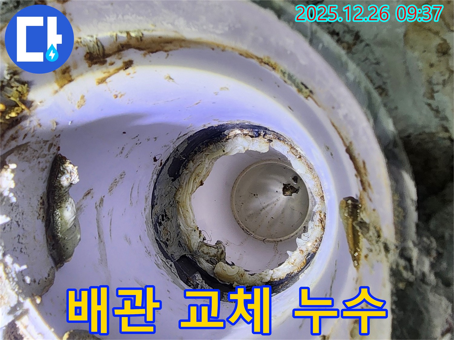 노원구 상계동 낡은 배관 - 교체 시공으로 누수 문제 근본적으로 해결