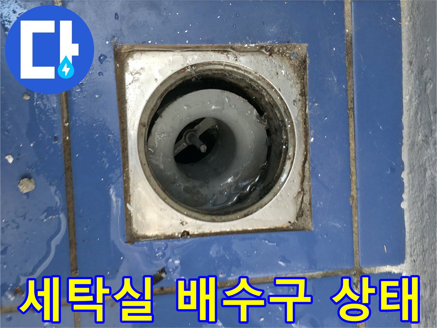 성동구 아파트-세탁실 배수구 유가 주변의 습한 상태