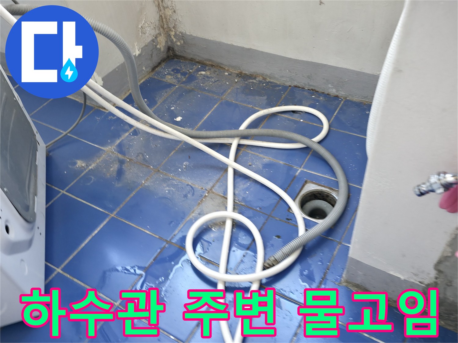 세탁실 배수구 주변 타일 틈새로 스며든 물기 상태