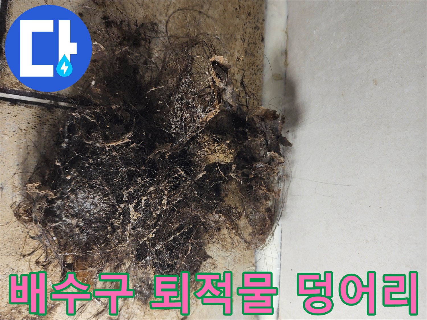 배관 입구에 쌓여 있는 머리카락과 오염된 이물질 뭉치