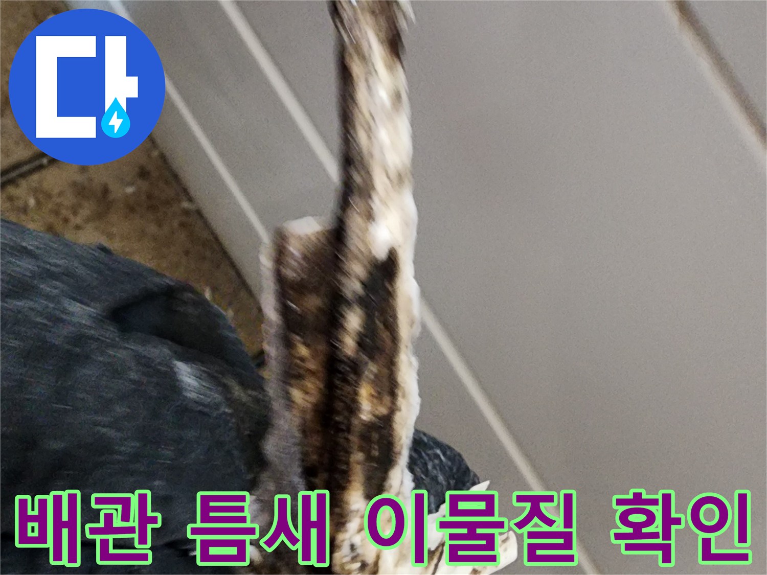 하수구-배관-사이의-찌꺼기와-오염물을-근접 촬영한-사진