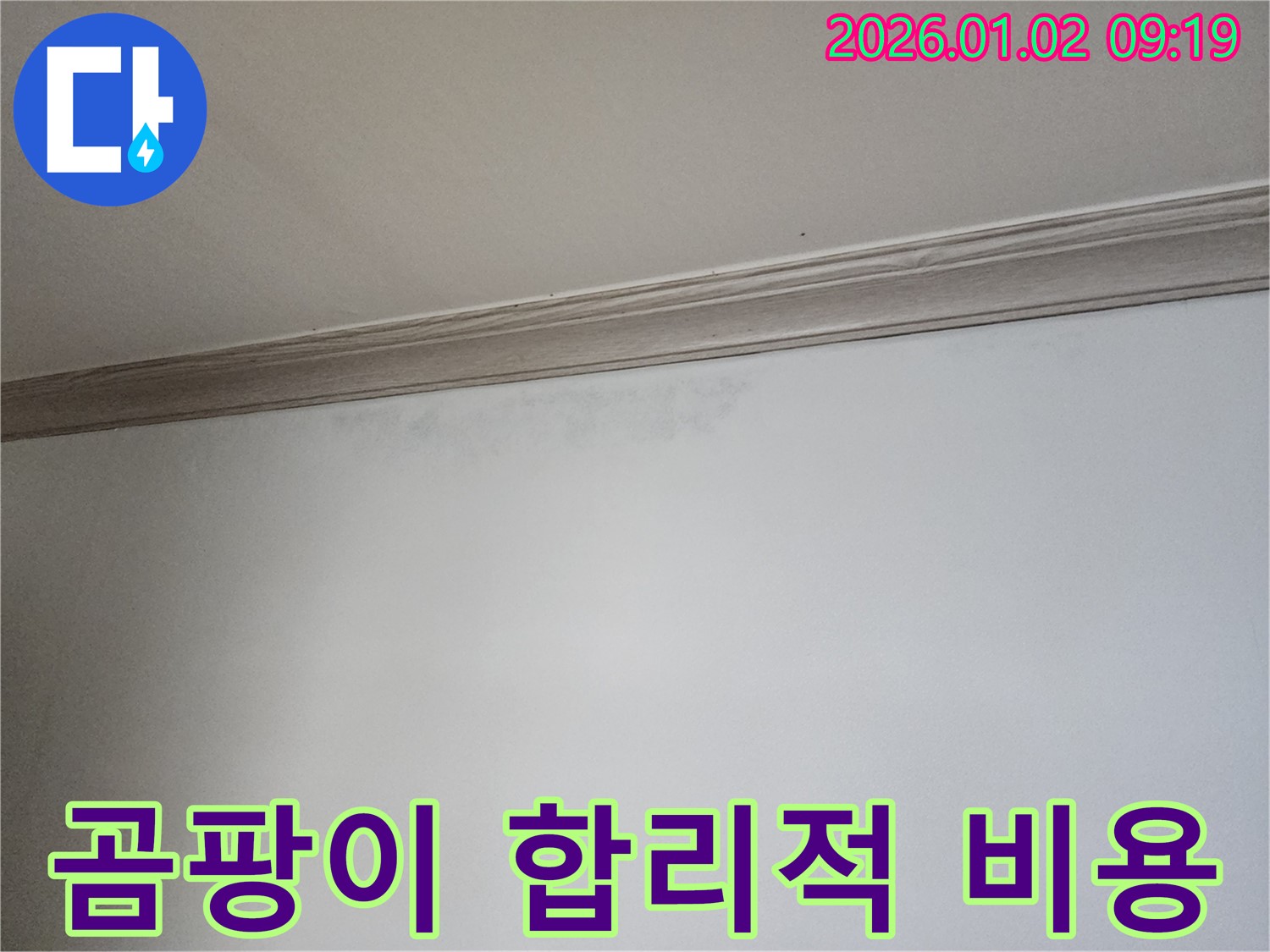 상계9동 곰팡이 - 합리적인 비용으로 해결