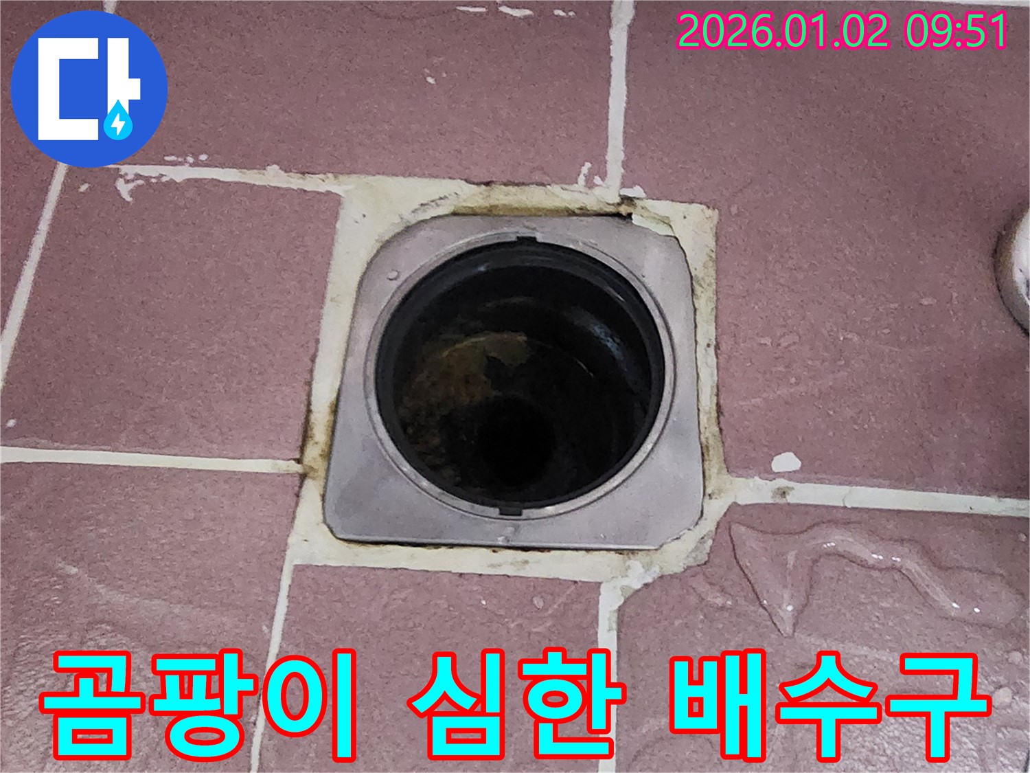 상계9동 욕실 배수구 주변 곰팡이 - 곰팡이가 심하게 핀 배수구는 누수의 심각성을 알리는 신호입니다.
