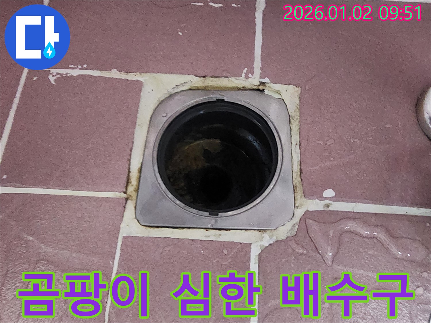 상계9동 욕실 배수구 주변 곰팡이 - 곰팡이가 심하게 핀 배수구는 누수의 심각성을 알리는 신호입니다.