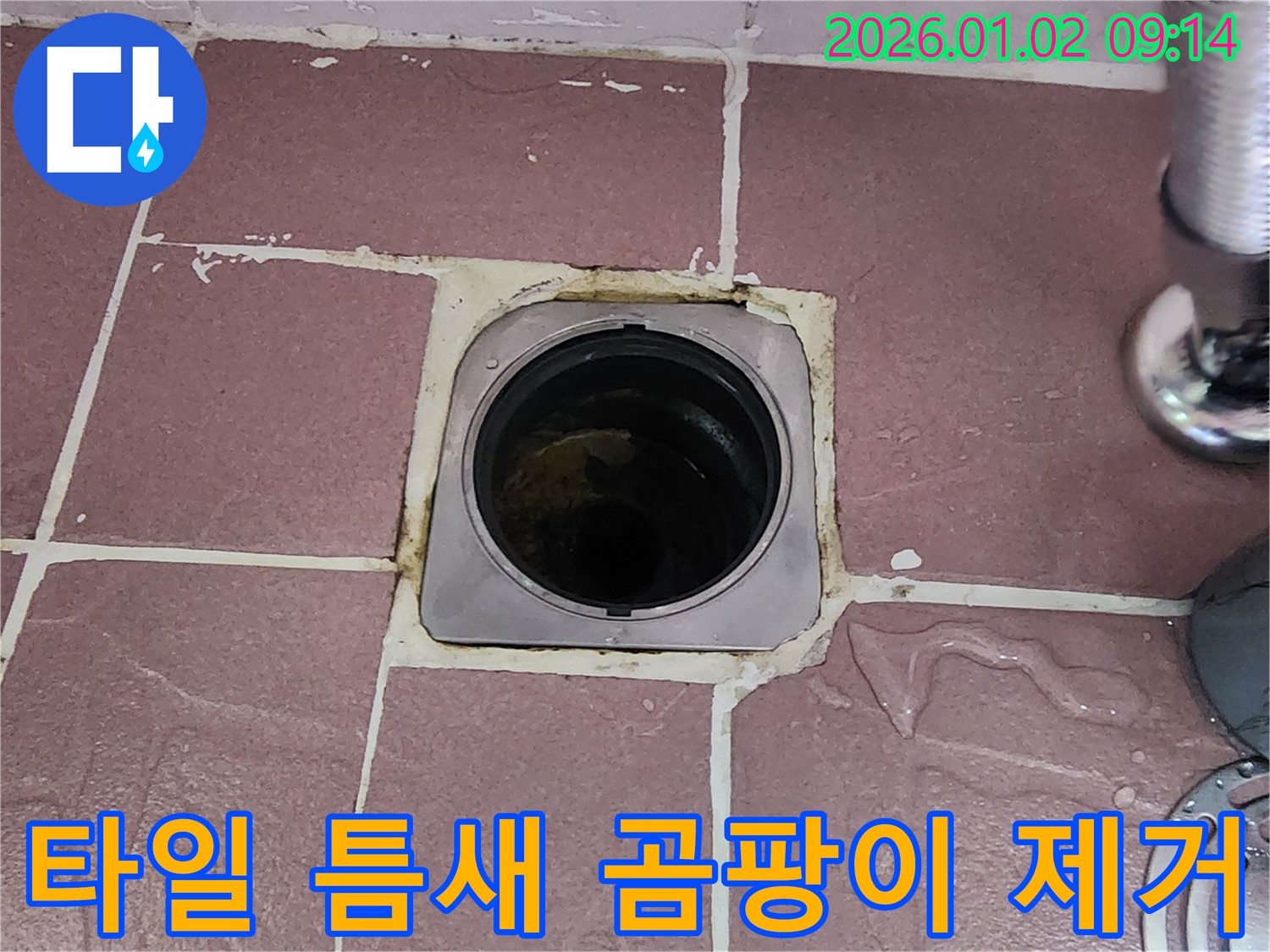 상계9동 욕실 배수구 - 타일 틈새 곰팡이 제거 및 청소