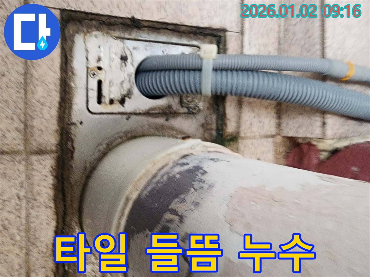 세탁기 배수구 주변 타일 들뜸 - 타일이 들떠 있어 누수 가능성을 의심하고 점검하고 있습니다.