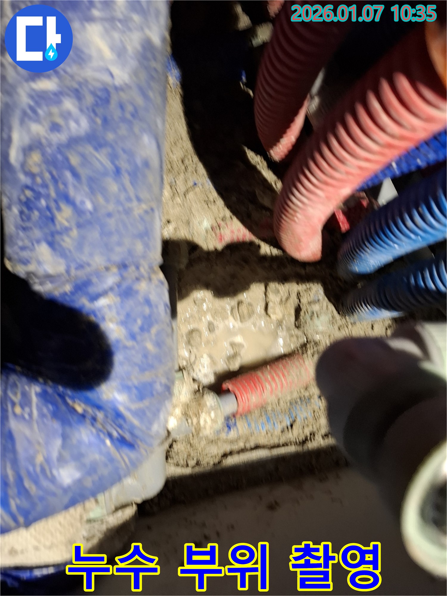 용인시 처인구 모현 누수 현장 - 누수 부위 정밀 촬영