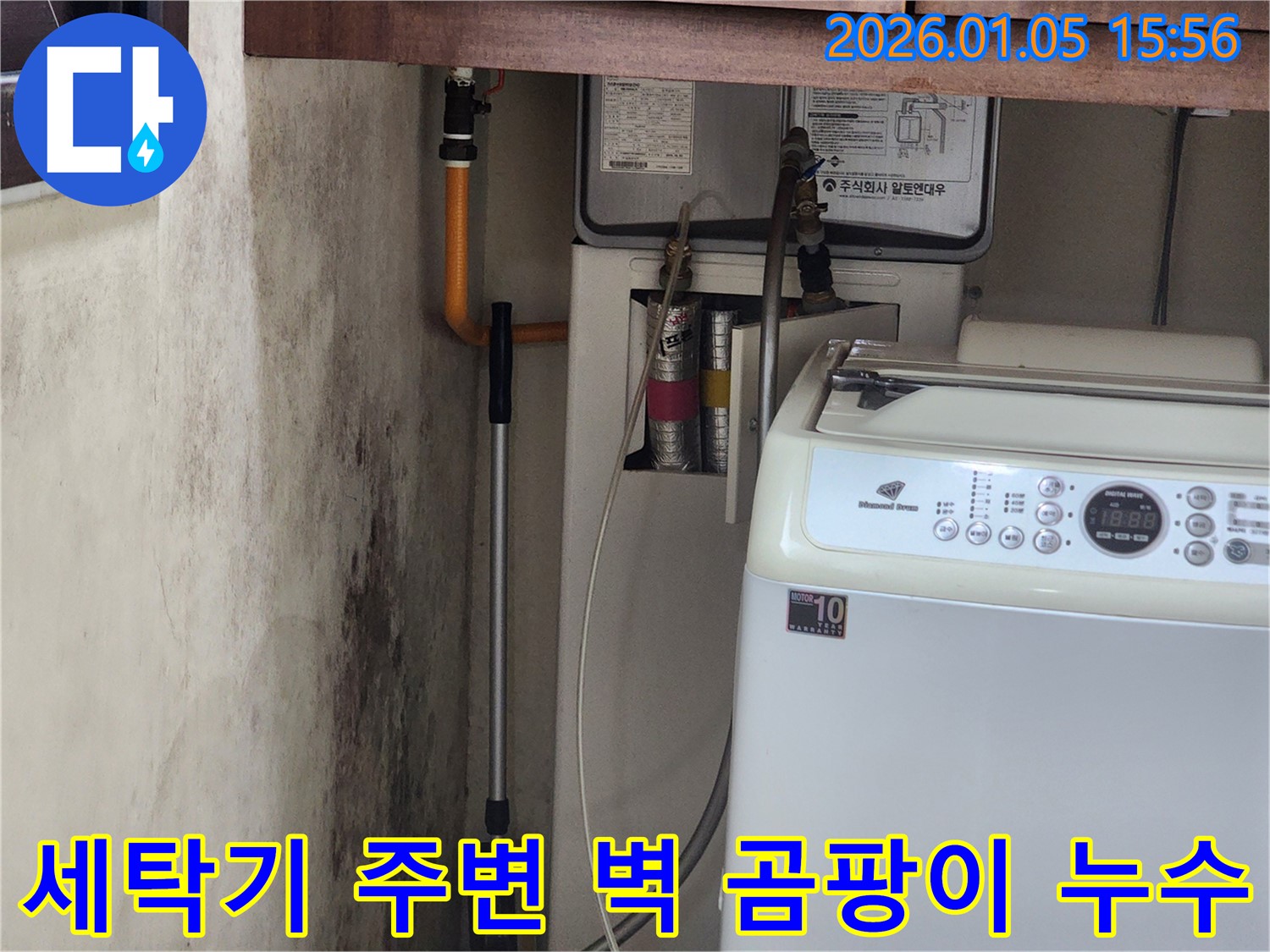 세탁기 주변 벽 곰팡이 - 월계1동 누수탐지 작업 사진입니다. 곰팡이 문제를 해결하고 쾌적한 환경을 만들었습니다.