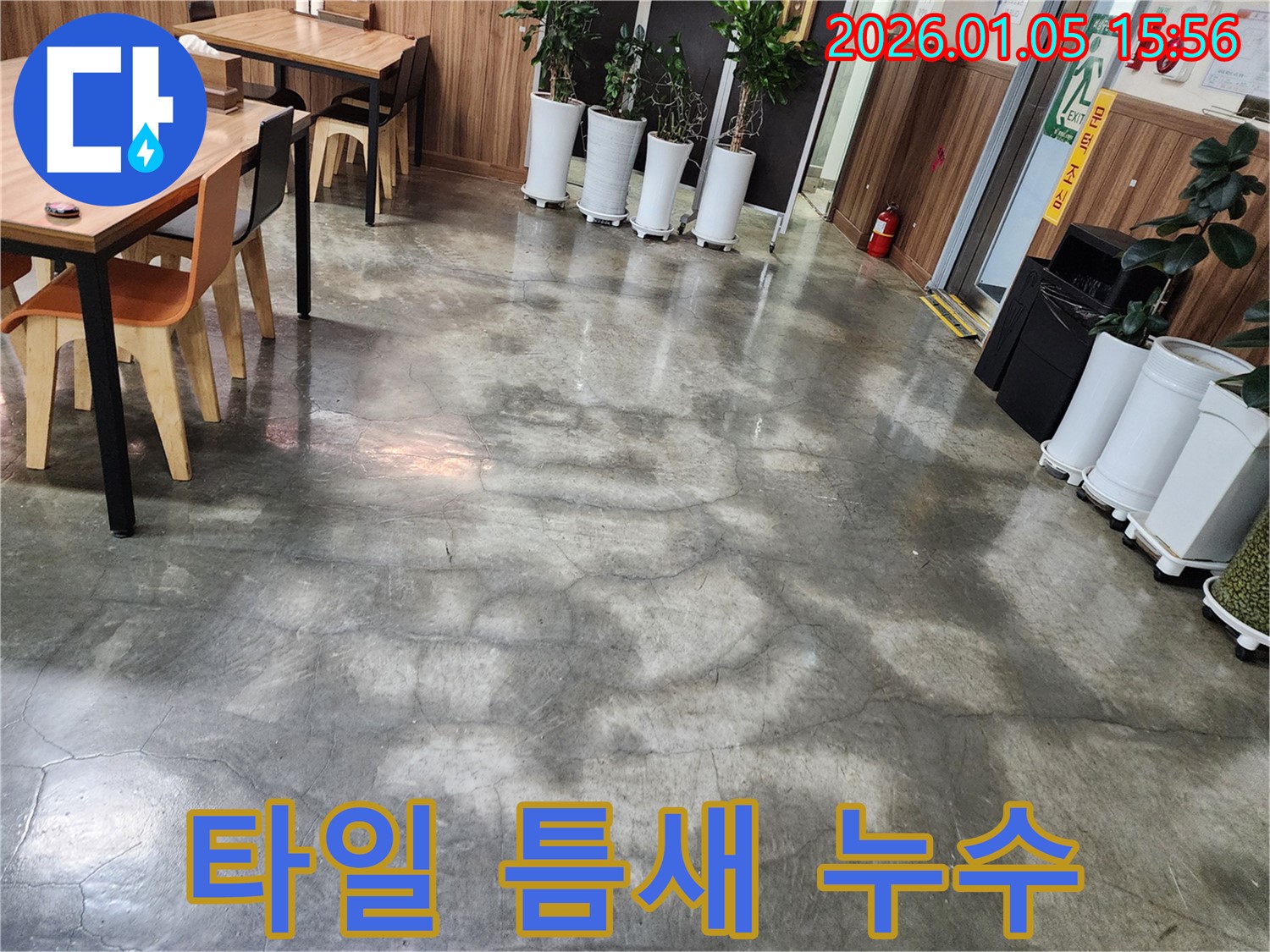 타일 틈새 누수 - 작은 틈새도 놓치지 않고 완벽하게 해결합니다. 누수탐지 전문가의 꼼꼼한 시공.