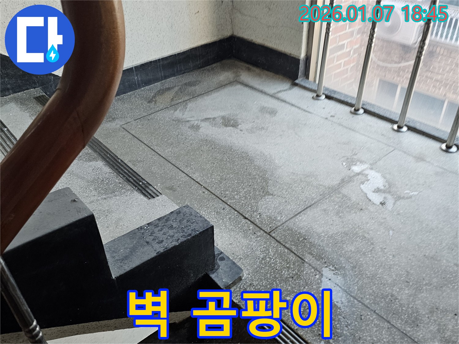 계단 벽 곰팡이 - 건강 위협 - 곰팡이 제거