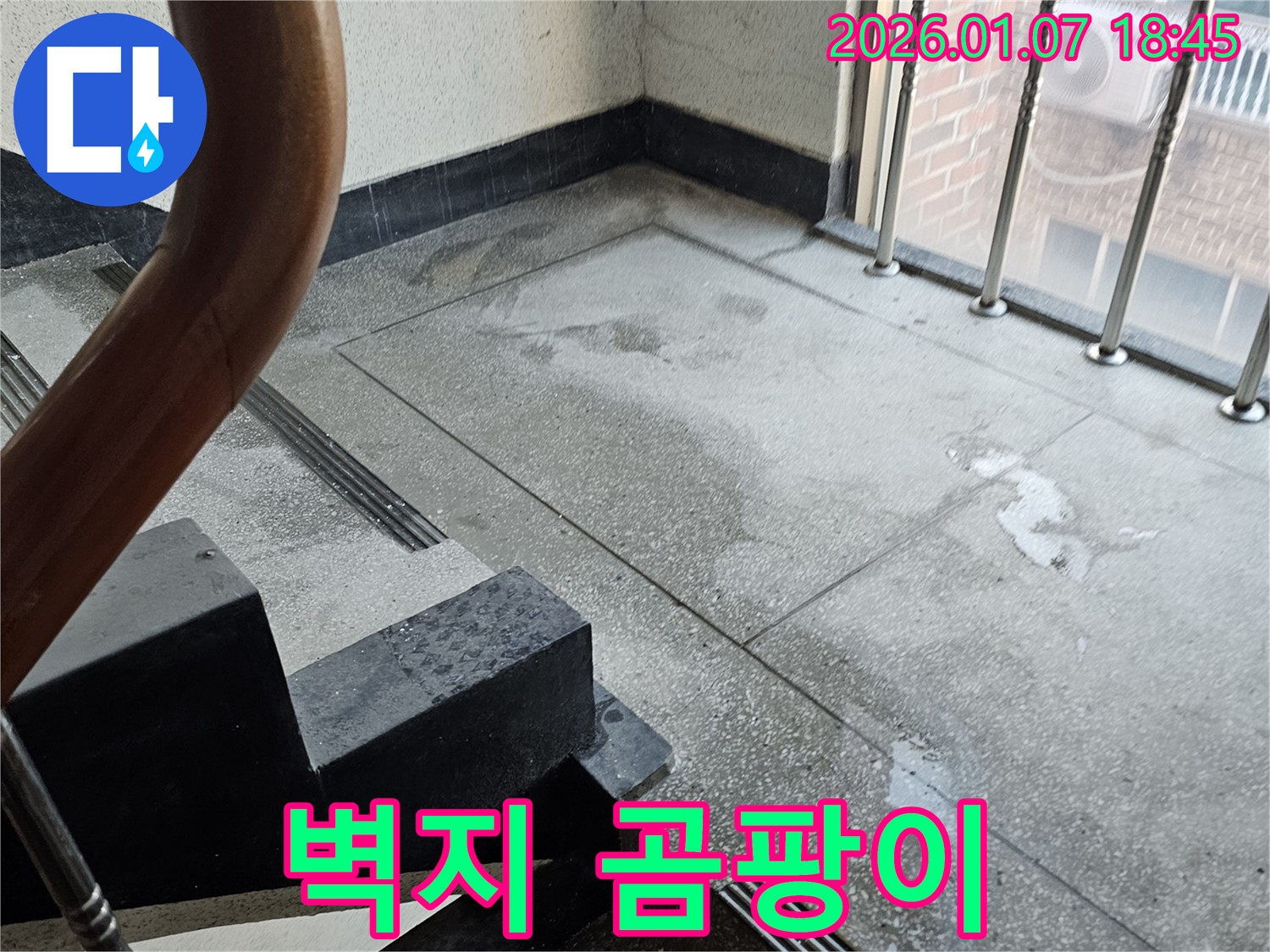 계단 벽지 곰팡이 - 건강 위협 - 곰팡이 제거