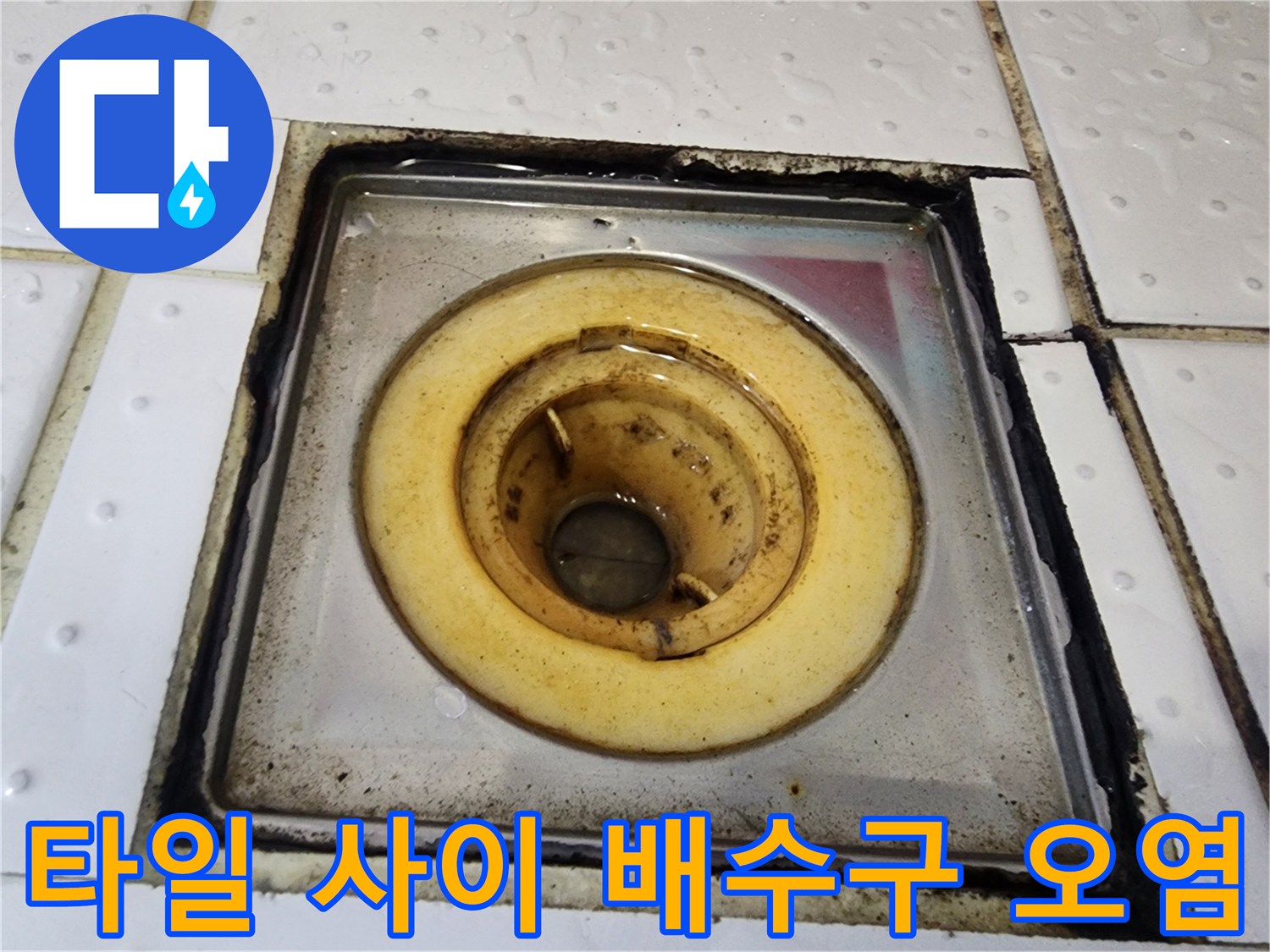 화장실-배수구-트랩-테두리-오염된-상태