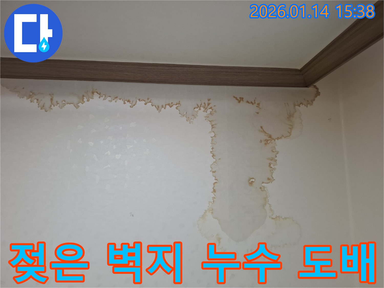 시흥 신천동 누수 - 젖은 벽지 문제 해결 및 도배 시공 서비스 제공