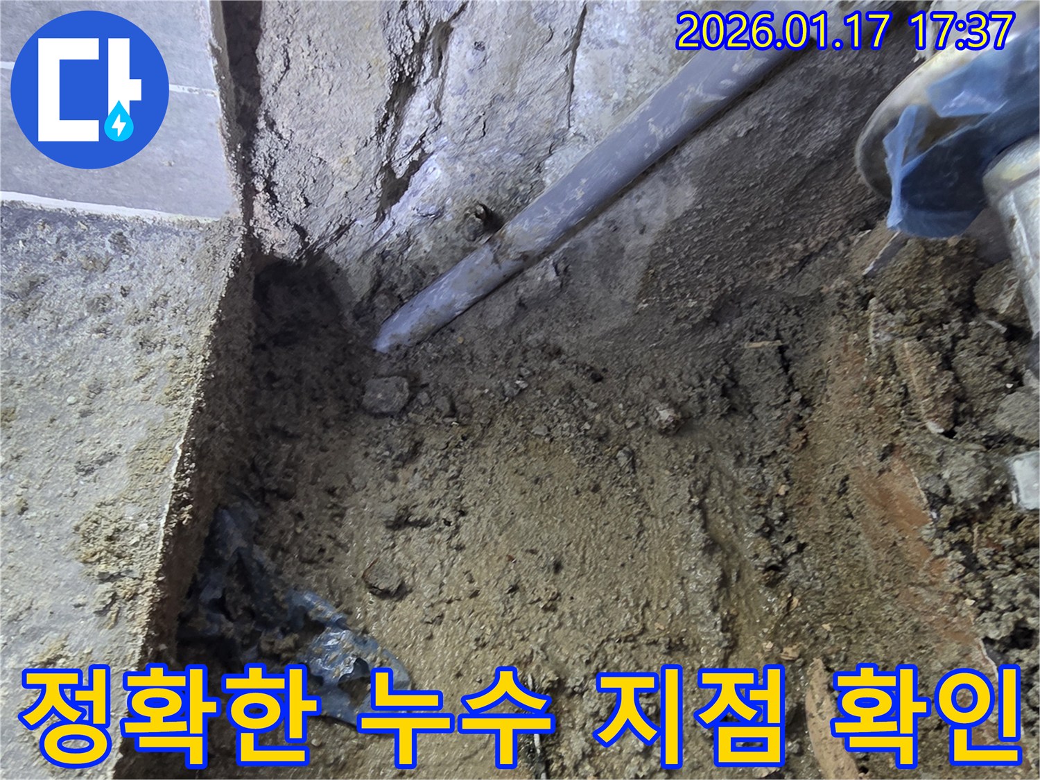 중랑구 동일로 누수 현장에서 베테랑 기술자가 정확한 누수 지점을 확인하고 있습니다 - 숙련된 기술로 문제 해결!