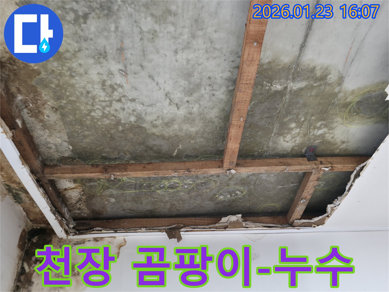 천장 곰팡이와 물자국이 심각한-콘크리트 슬라브가 노출된-누수 현장
