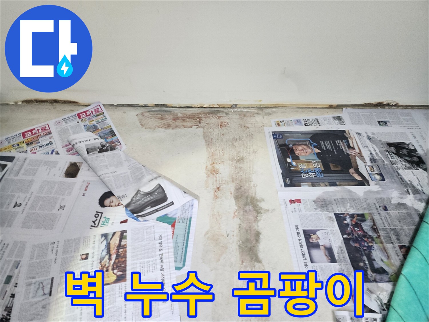 벽에 핀 곰팡이 - 누수로 인해 습기가 높아져 곰팡이가 번식한 모습입니다.