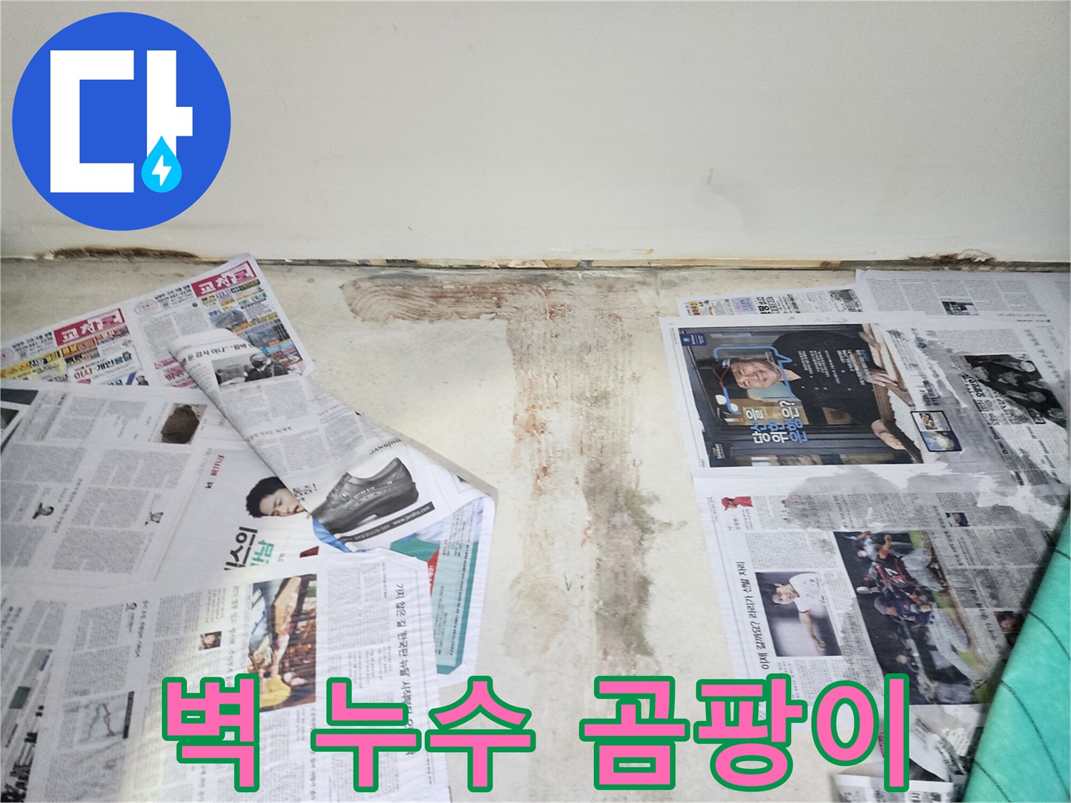 벽에 핀 곰팡이 - 누수로 인해 습기가 높아져 곰팡이가 번식한 모습입니다.