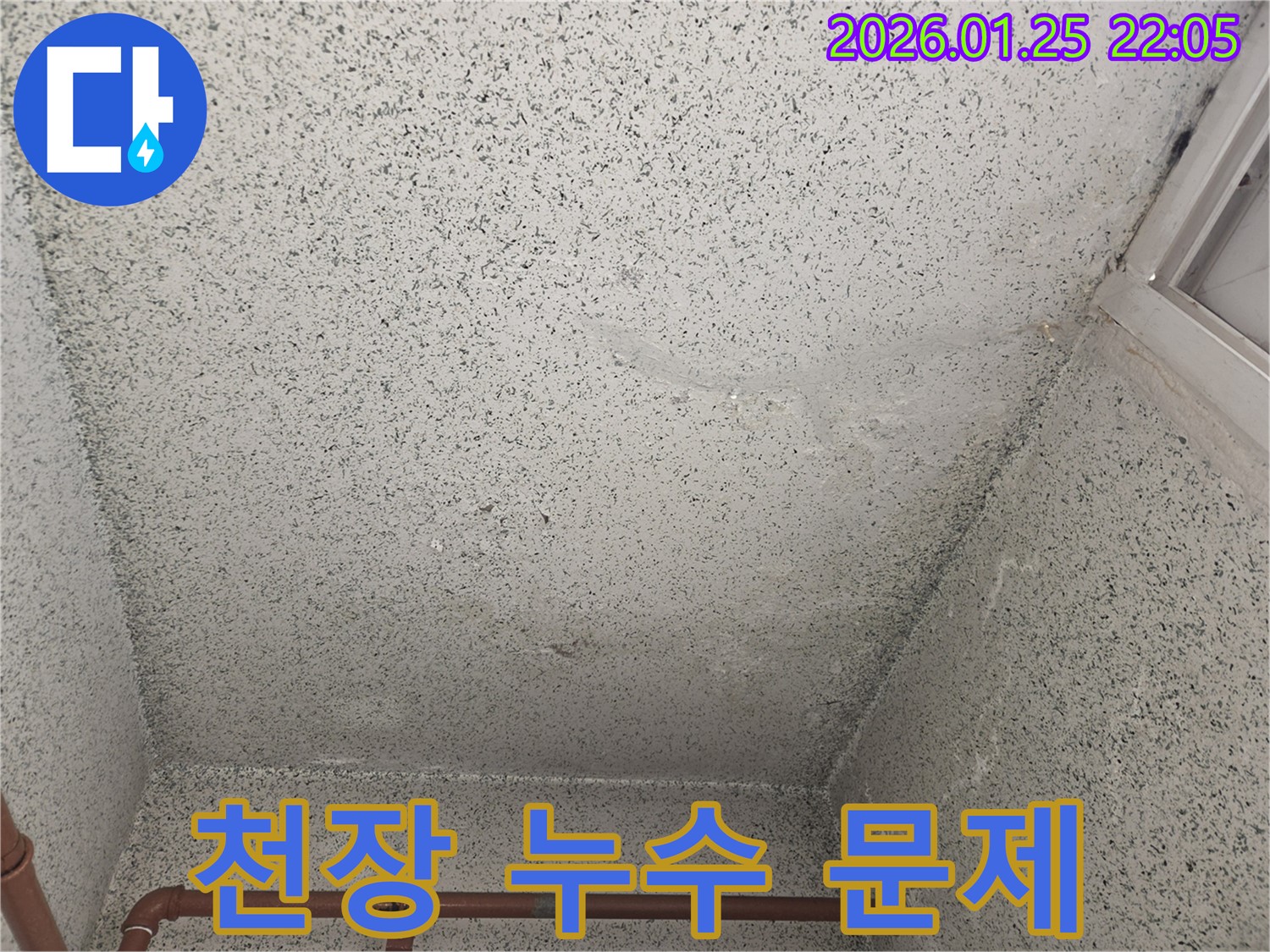 천장 누수 문제 - 모현읍에서 천장 누수 문제를 해결하기 위해 누수탐지 전문가가 방문했습니다.