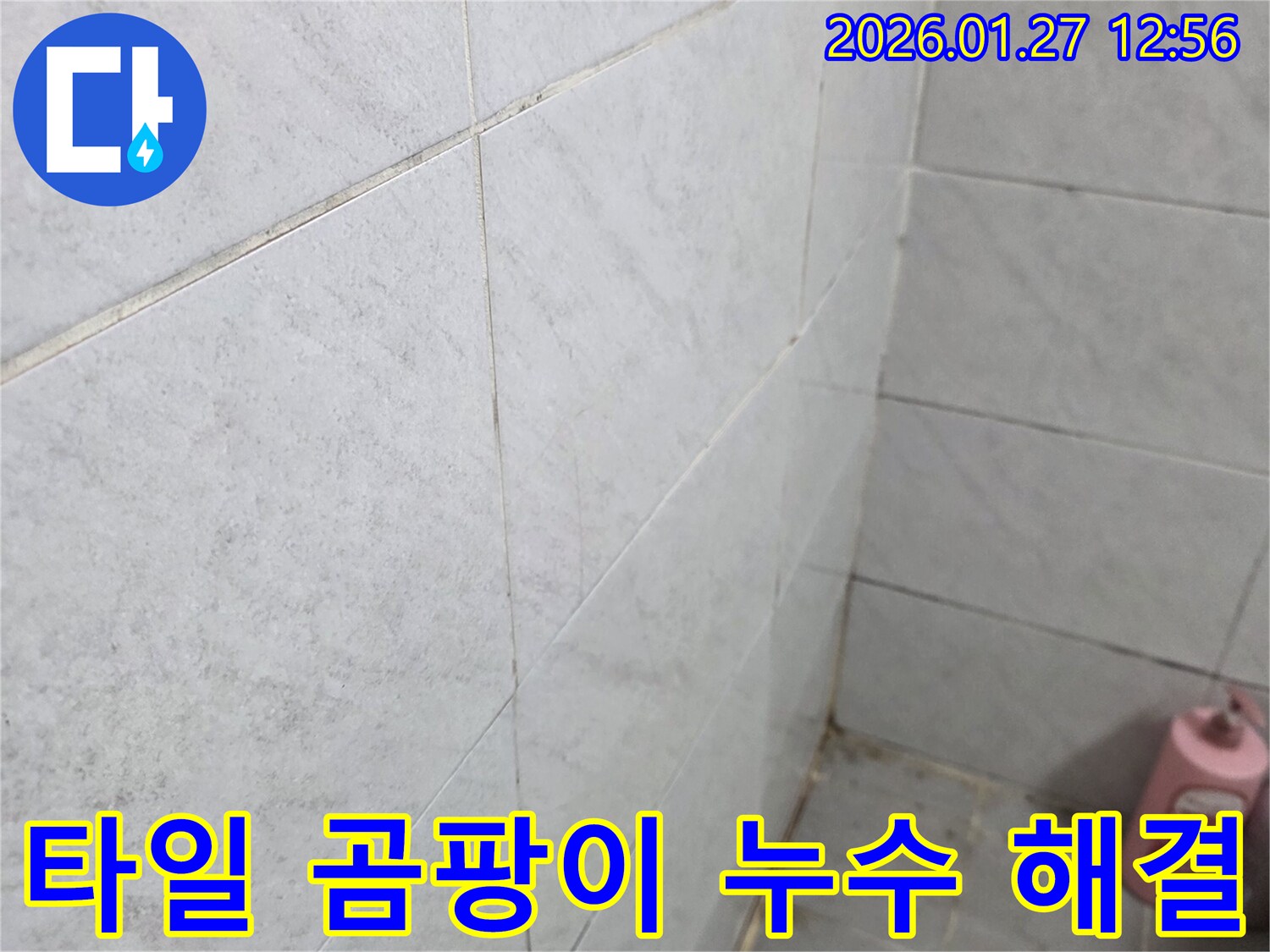타일 곰팡이 누수 해결 - 부천 누수탐지 전문 업체에서 타일 곰팡이와 누수의 연관성을 파악하고 근본적인 원인을 해결합니다.
