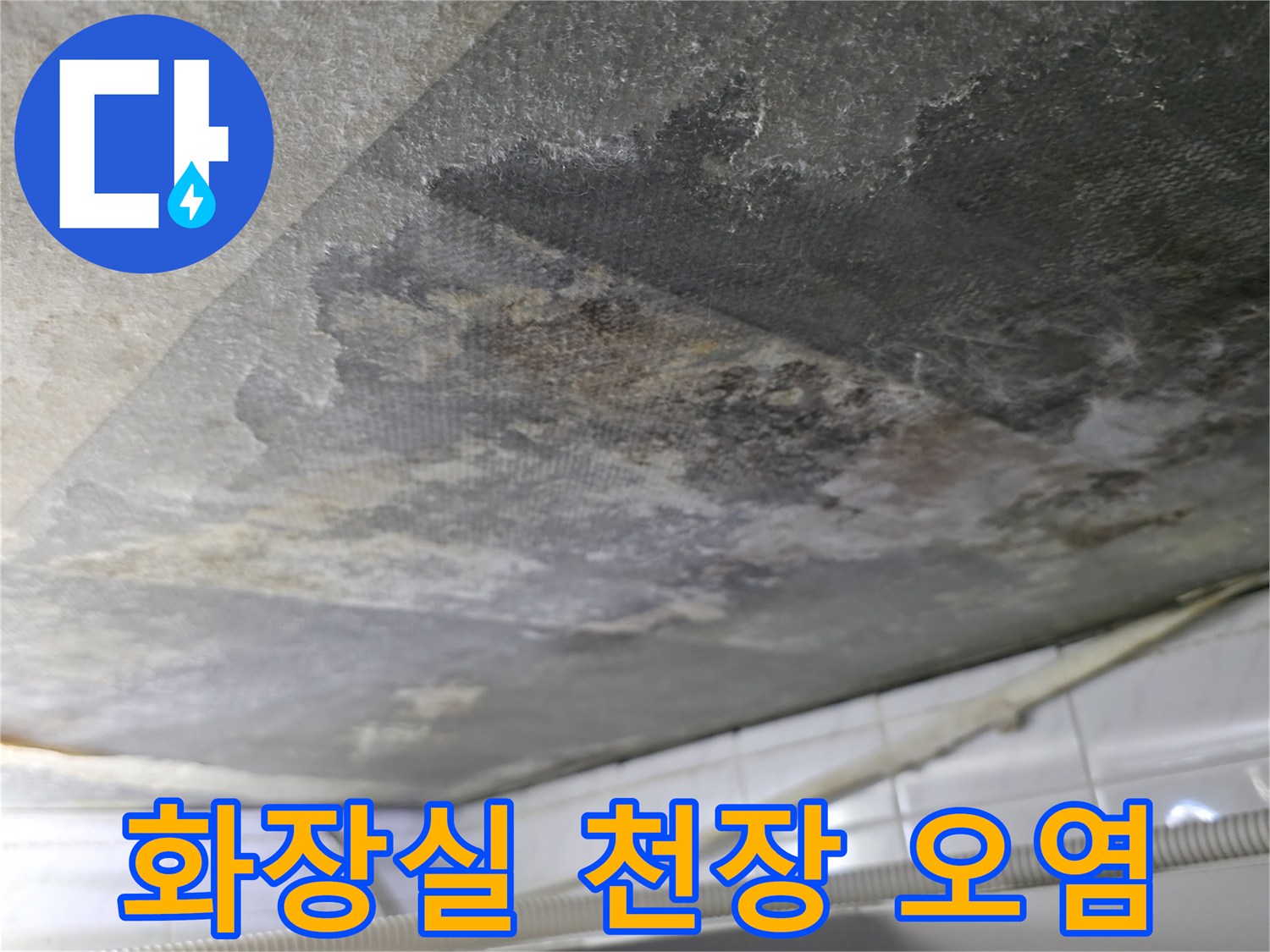 부천 현장-화장실 천장 콘크리트 슬래브의 심한 습기와 검은 곰팡이 오염 상태