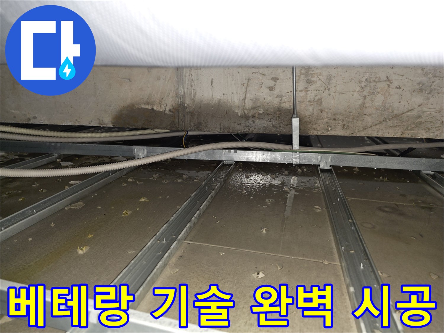목동 누수 점검 과정 - 누수 전문가의 꼼꼼한 현장 점검
