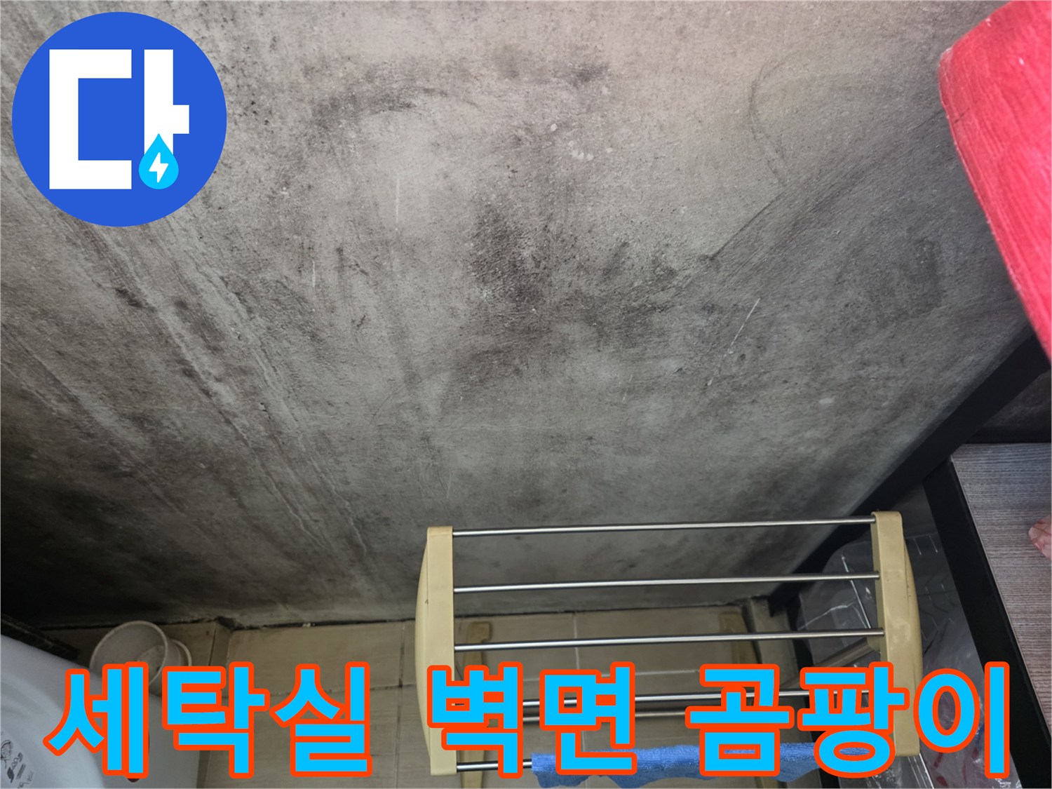 마포구 세탁실-벽면에 발생한 곰팡이와 오염 상태