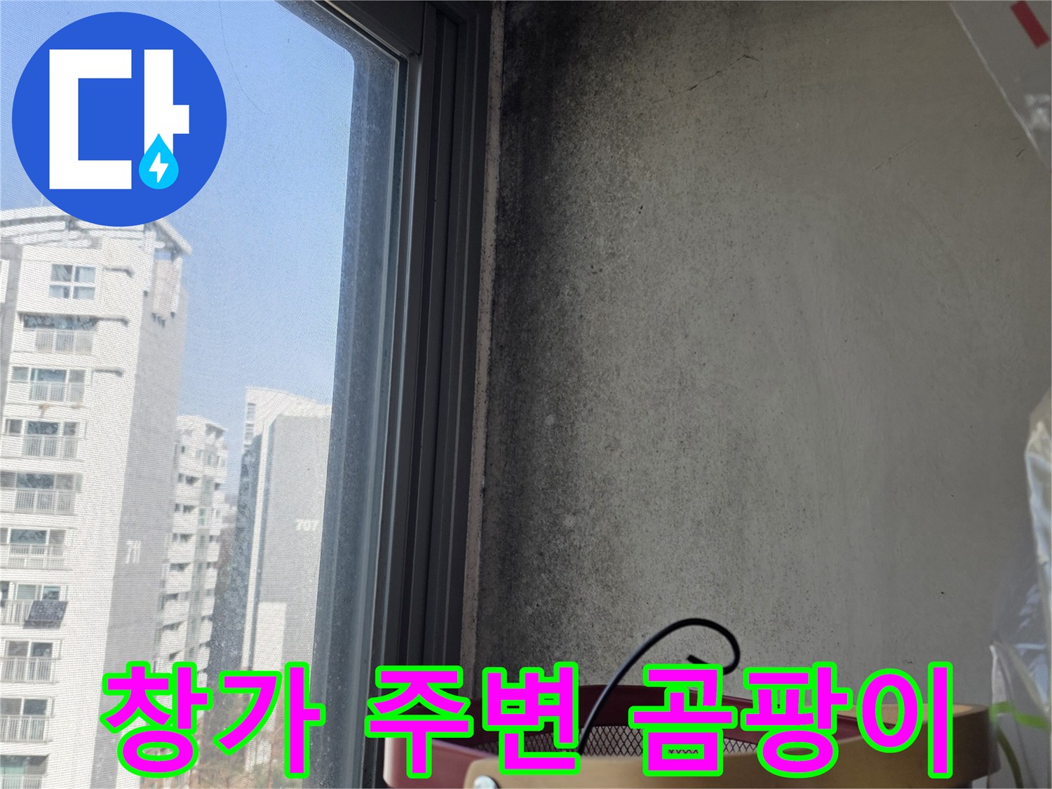 아파트 창틀 상단-벽면 곰팡이 발생 상태