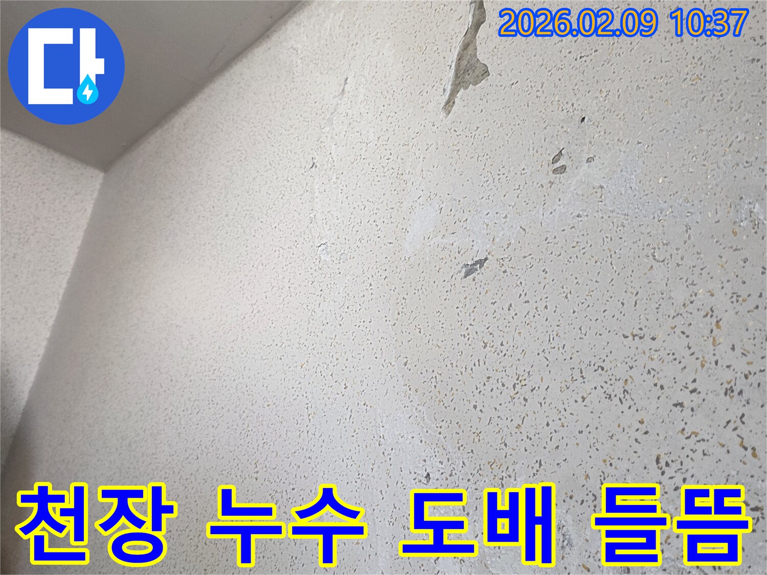 천장 도배지가 들뜨고 변색된 모습으로-명백한 누수 피해가 발생했음을 보여줍니다