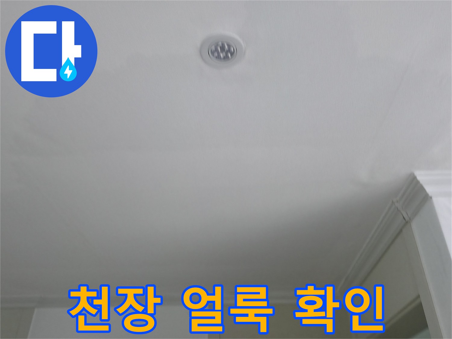 물기가 스며들어 넓게 번진 천장 얼룩