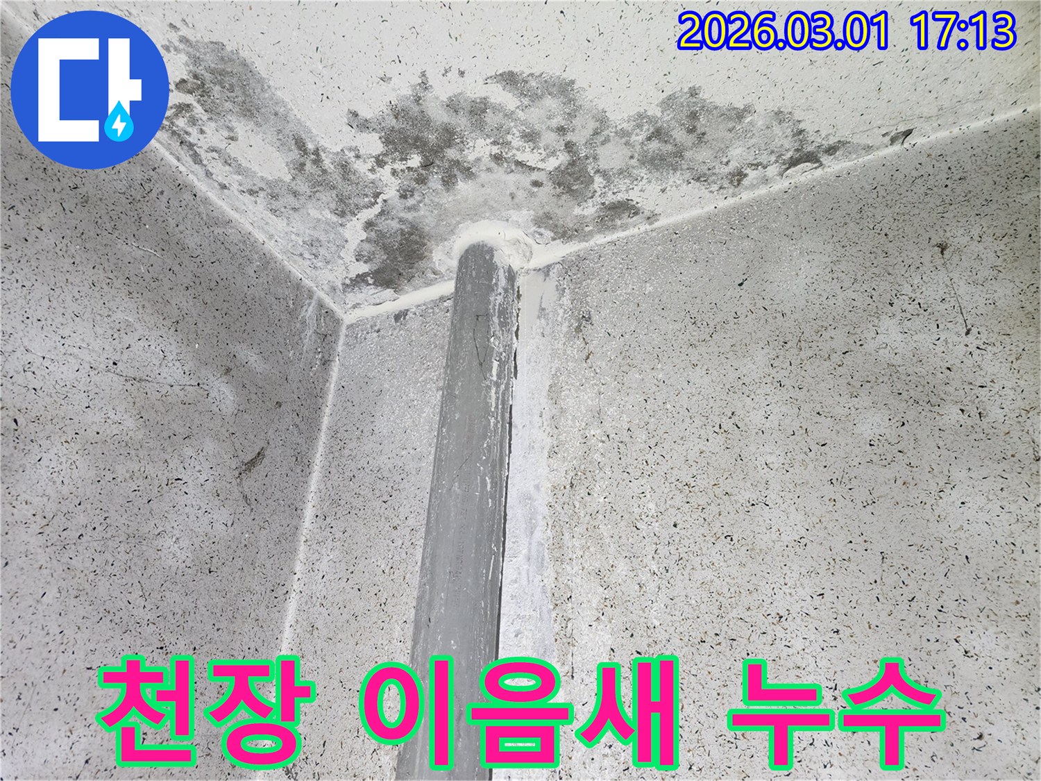 천장과 벽의 이음새 부분-지속적인 누수로 인한 곰팡이 번식
