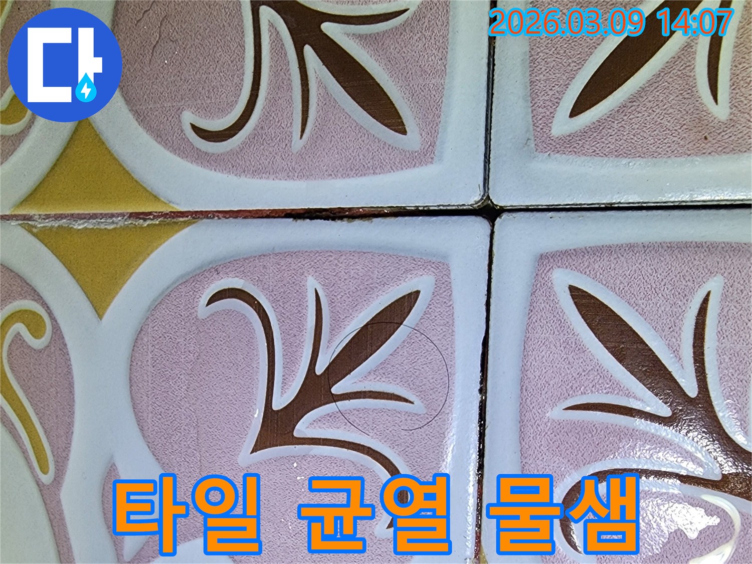 빌라 욕실 타일의 미세한 균열-물이 스며들어 누수를 유발할 수 있는 잠재적 위험