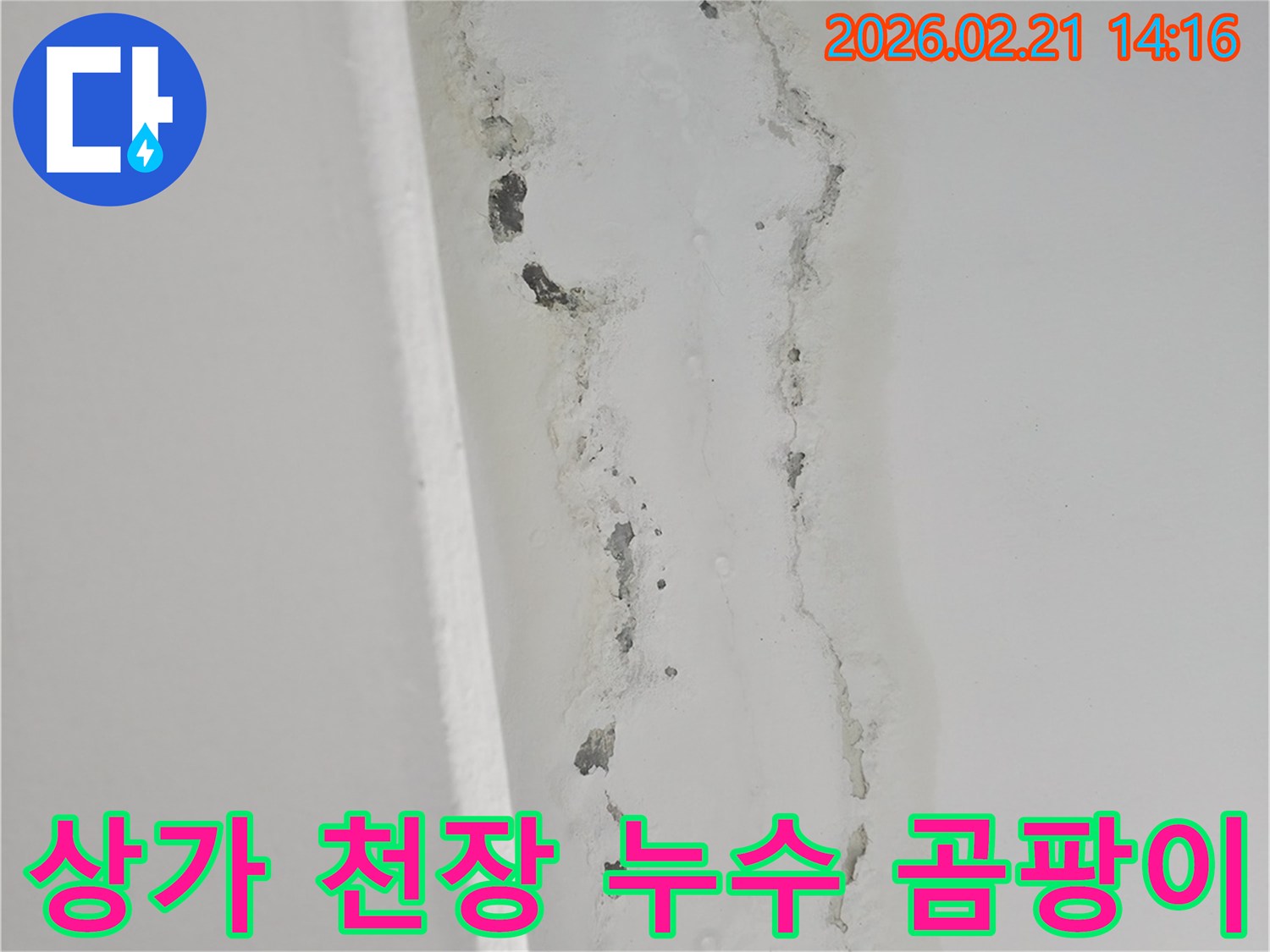 상가-천장-벽면-경계에서-발생한-누수로-인한-물자국과-페인트-벗겨짐-그리고-곰팡이