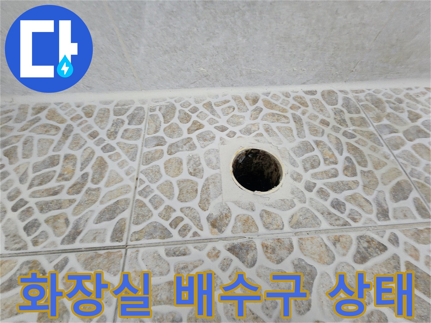 동대문구 화장실-배수구 주변 타일 상태 점검