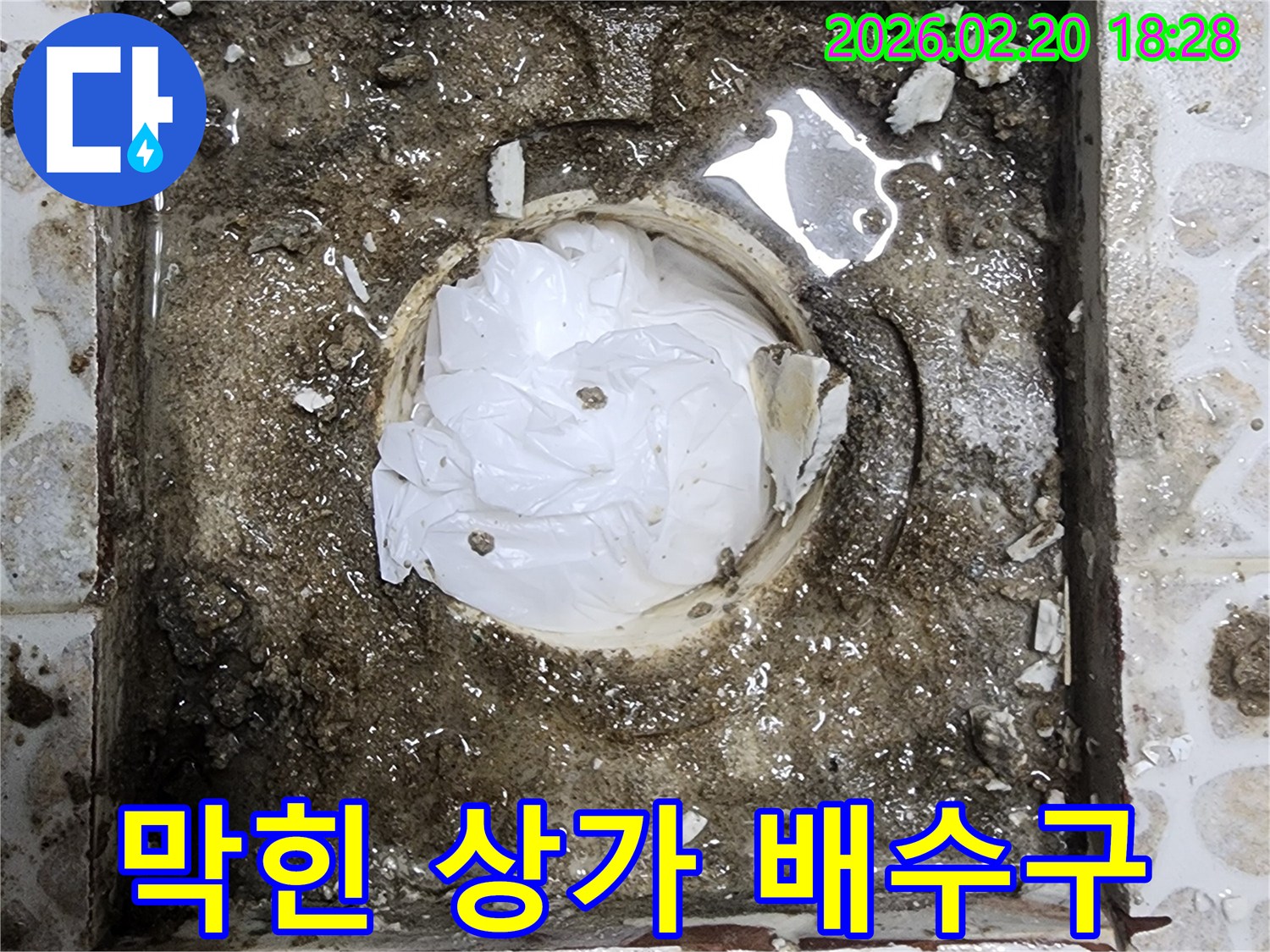 상가 화장실 배수구가-이물질로 심하게 막혀-물이 고이고 오염된-현장 상황을 보여줍니다.