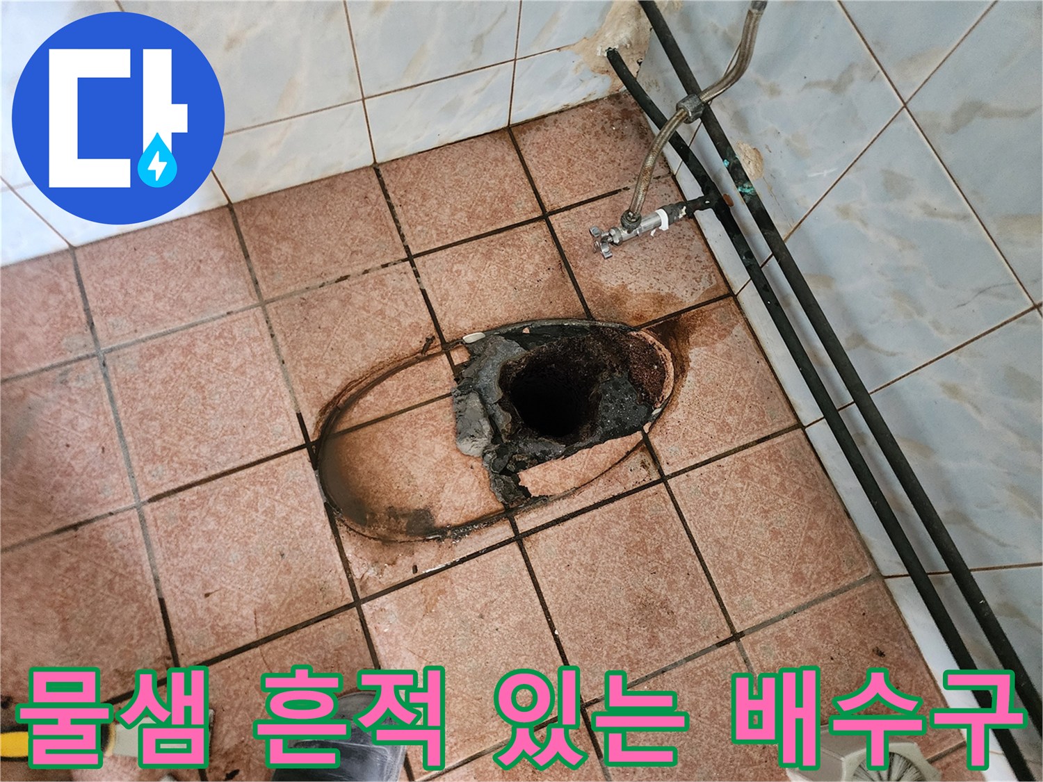 양주 현장 기록-배수구 주변 타일의 습기 및 물때 형성 상태