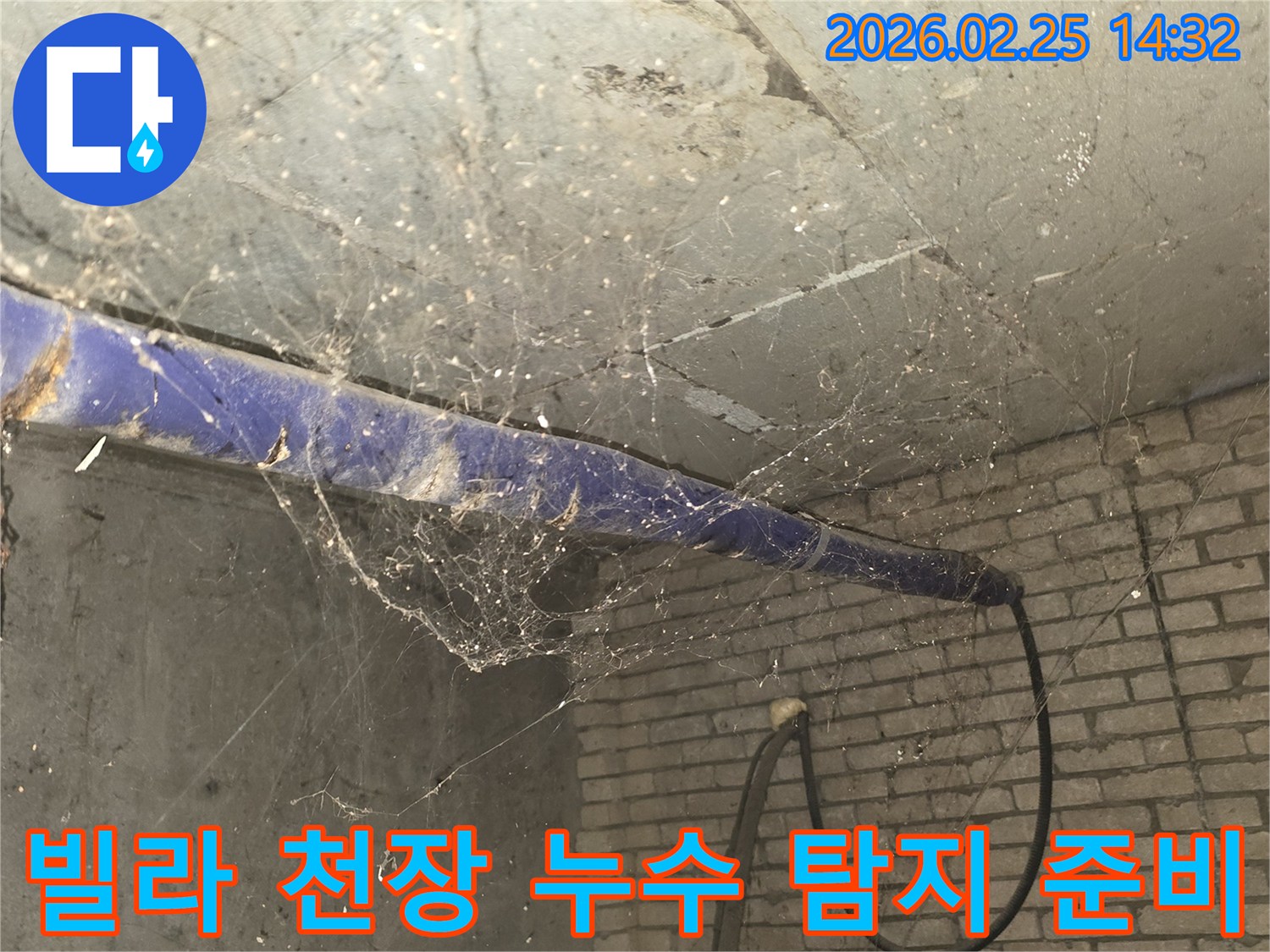 강동구 진황도로 인근 빌라-지하 천장에 거미줄이 엉켜있는-누수 정밀 탐지 전-현장 준비 모습을 담은 사진입니다.