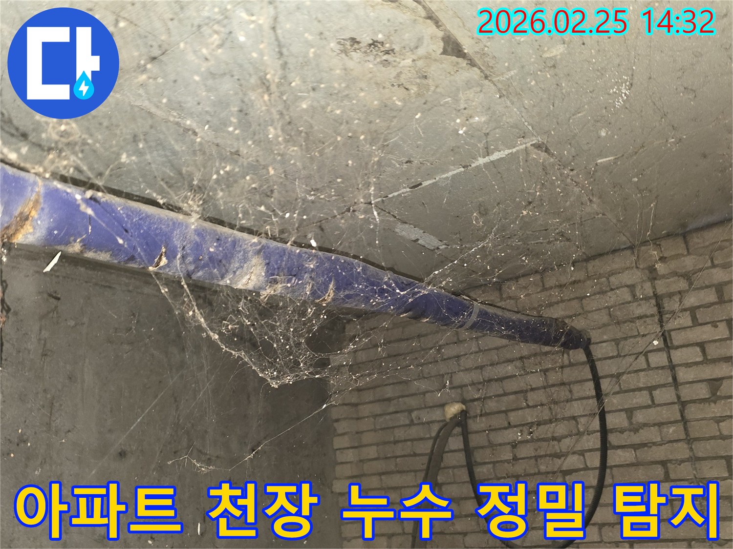 서울 강동구 진황도로 인근 아파트-지하 천장에 거미줄이 가득한-누수 정밀 탐지 전-현장 상황을 담은 사진입니다.