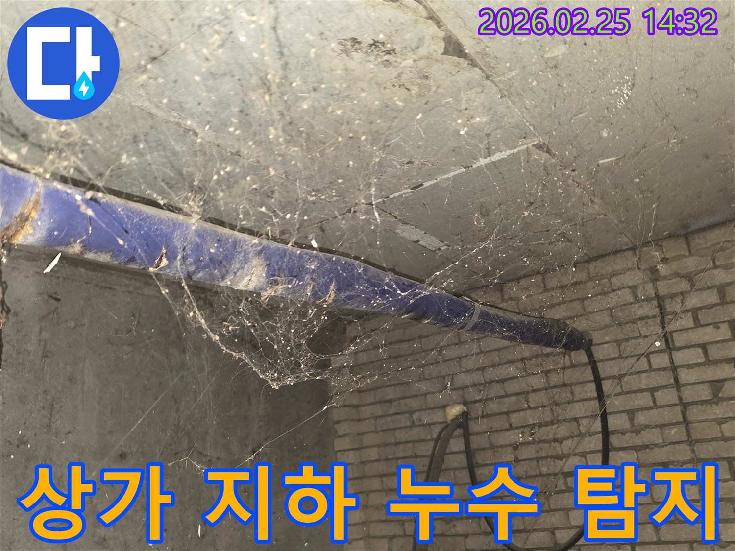 서울 강동구 진황도로 인근 오래된 상가-지하 천장에 거미줄이 가득한-누수 탐지 및 진단 전-현장 상황을 담은 사진입니다.