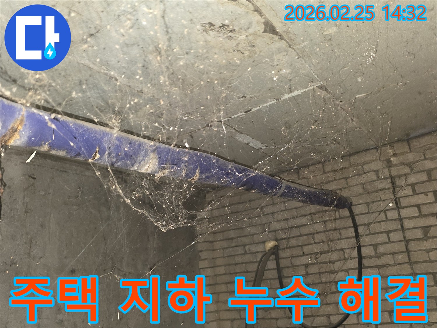 서울 강동구 진황도로 인근 주택-지하 천장에 거미줄이 가득한-누수 문제 종합 해결 전-현장 상황을 담은 사진입니다.