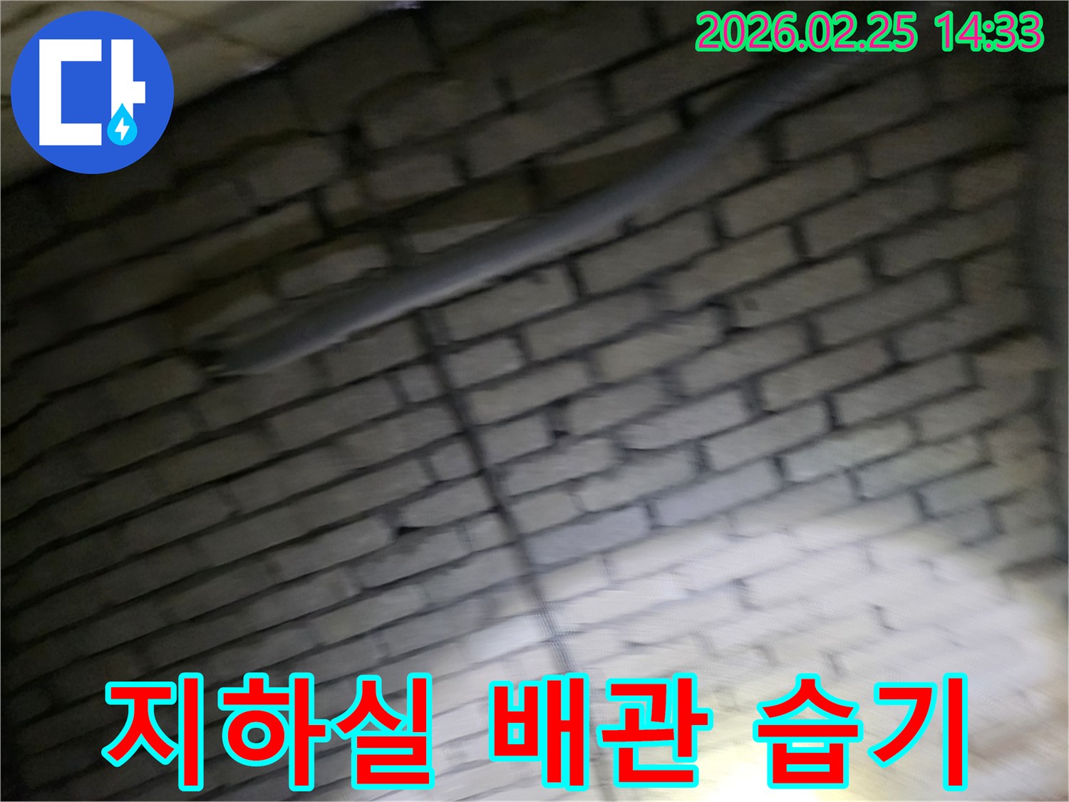 어두운-지하실-벽돌벽-내부의-배관에서-발생한-누수로-인해-습기와-곰팡이가-생긴-현장을-전문가가-점검하는-모습