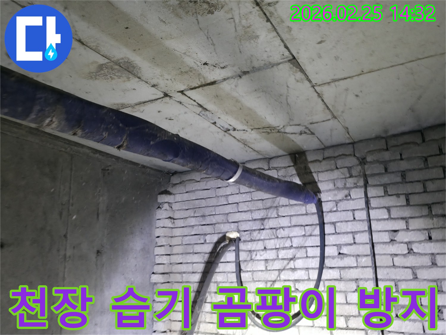 지하 천장 배관 주변에-발생한 습기와-곰팡이 흔적을-전문가가 확인하고-방지 대책을 세우는 모습