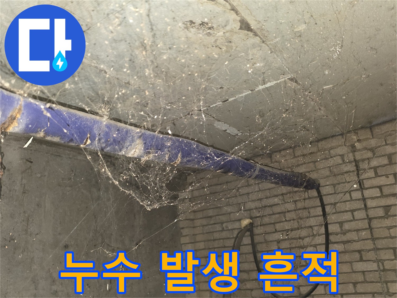 천장-벽면의-누수-오염과-배관-보온재