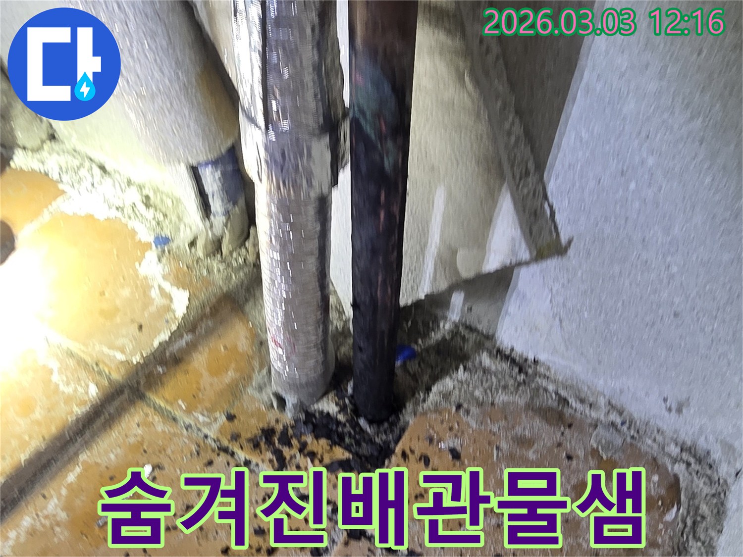 양주시-광적면-주택의-숨겨진-배관에서-물이-새어-나와-주변을-적시고-있는-누수-현장을-면밀히-탐색하는-모습