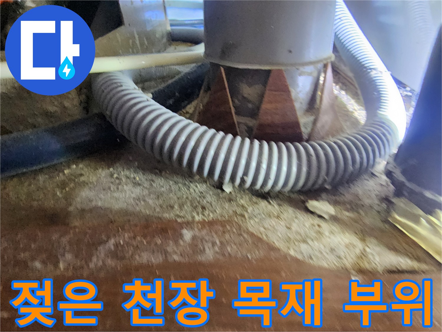 물기에 젖어 어둡게 변한 천장 목재와 회색 배관