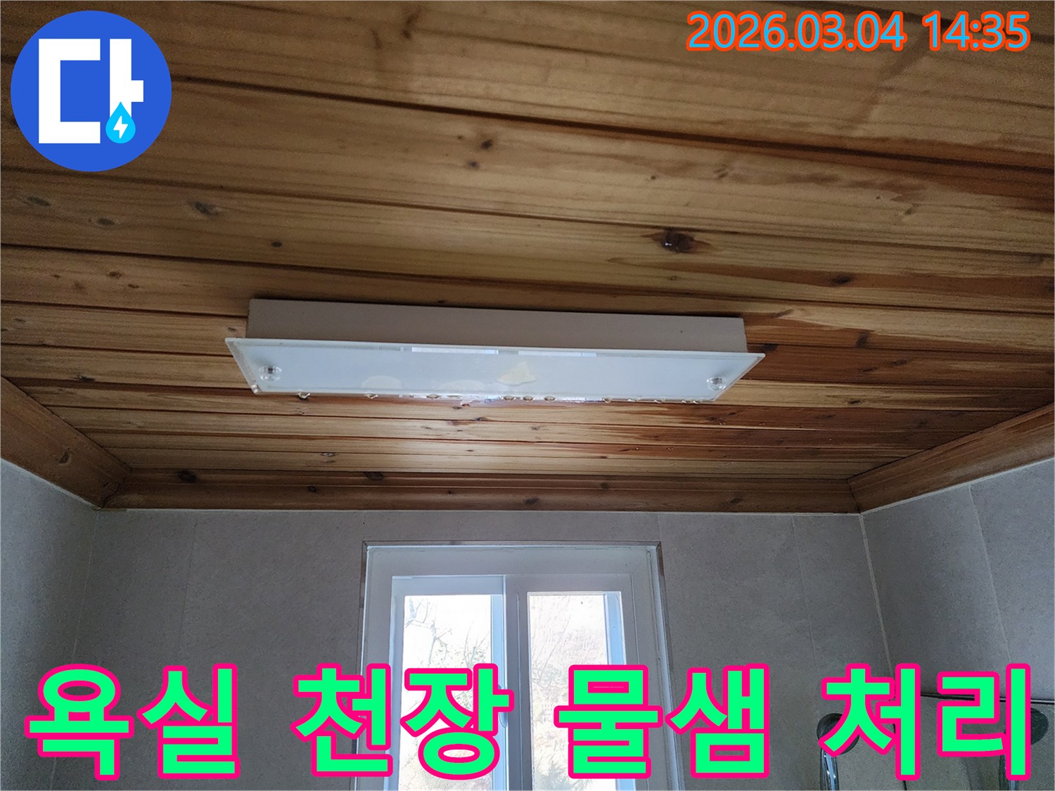 습한 욕실 천장의 조명에서 물이 새는 모습으로-곰팡이와 전기 합선 위험이 높은-전문적인 처리가 필요한 현장입니다.