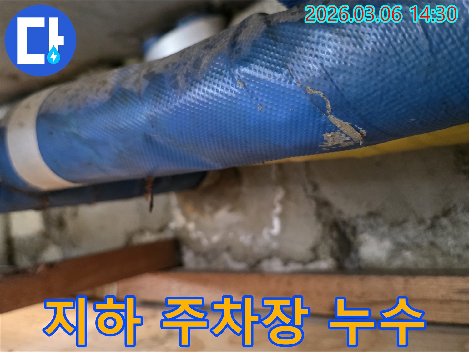 빌라 지하 주차장-파란색 배관과-습기 찬 콘크리트 벽면-그리고 나무 지지대를-꼼꼼히 점검하는 모습