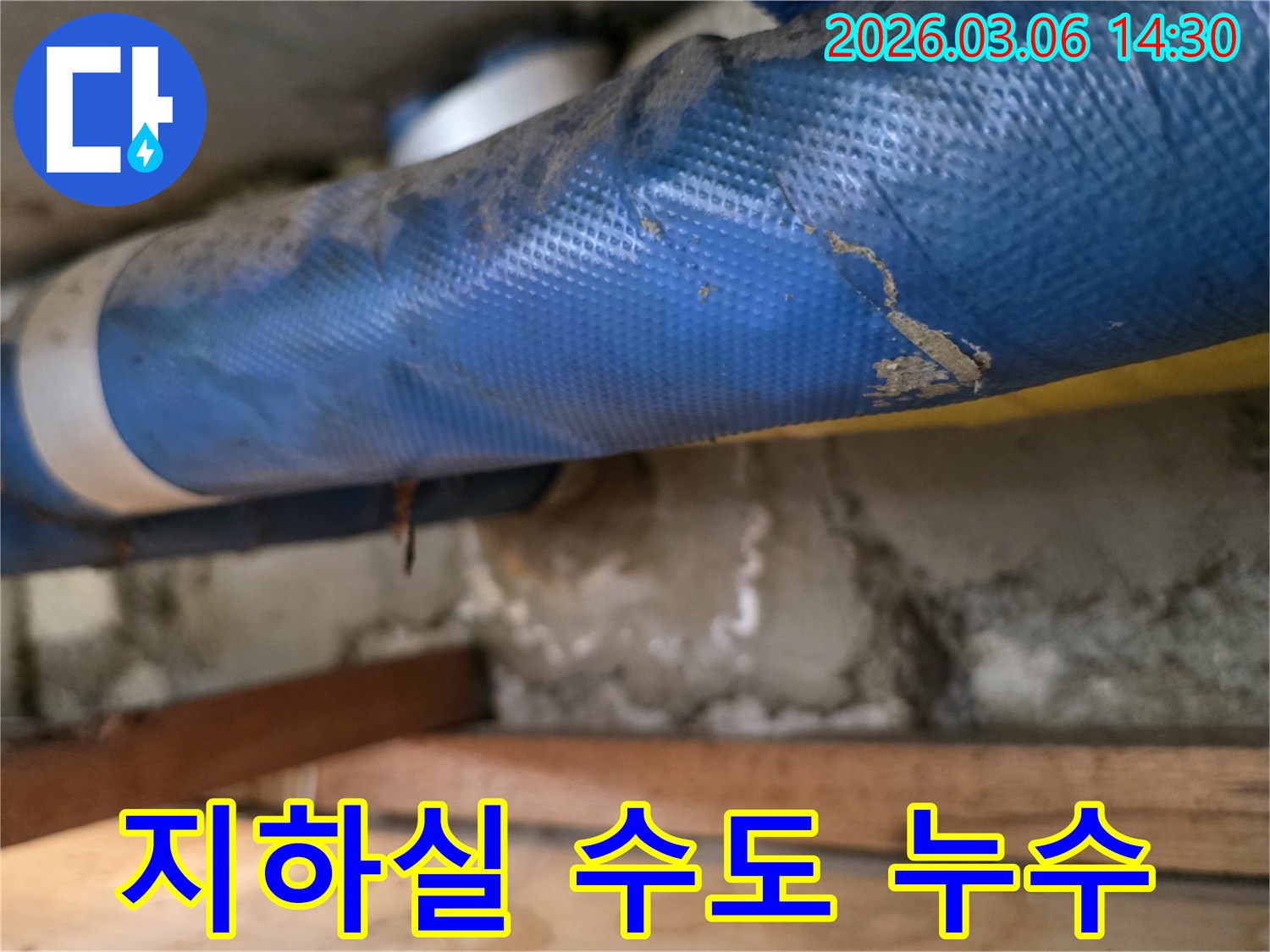 주택 지하실 하부-파란색 수도 배관과-젖은 콘크리트 벽면-그리고 나무 지지대를-꼼꼼히 점검하는 모습