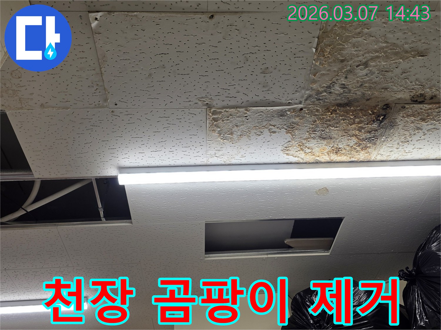 천장 마감재에-누수로 인한-심한-곰팡이가-발생하여-제거가-필요한-현장의-모습을-담은-사진입니다