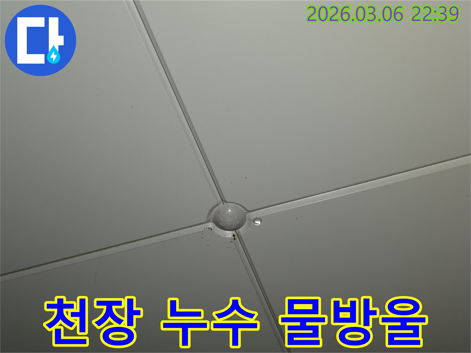 천장 패널 이음새에서-물방울이 맺혀-떨어지기 직전의-누수 현상 클로즈업