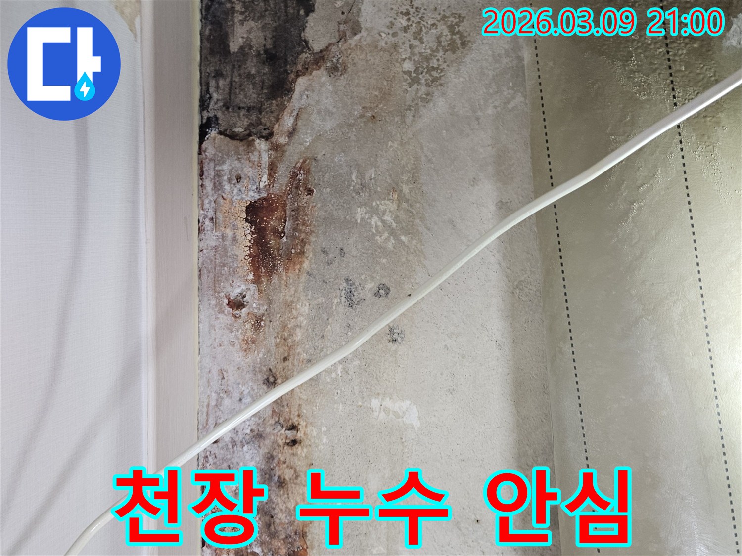 천장-누수-현장에서-고객의-걱정을-덜어주기-위해-전문가가-친절하게-설명하는-모습